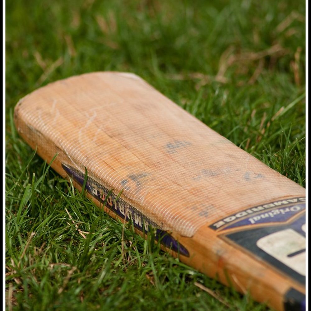 SG English Willow Bat, Grade 1